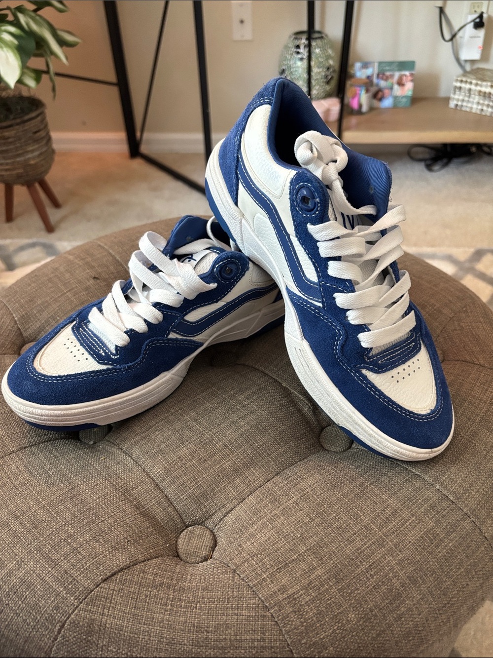 Vans Rowan 2 skate shoes  "True Blue"